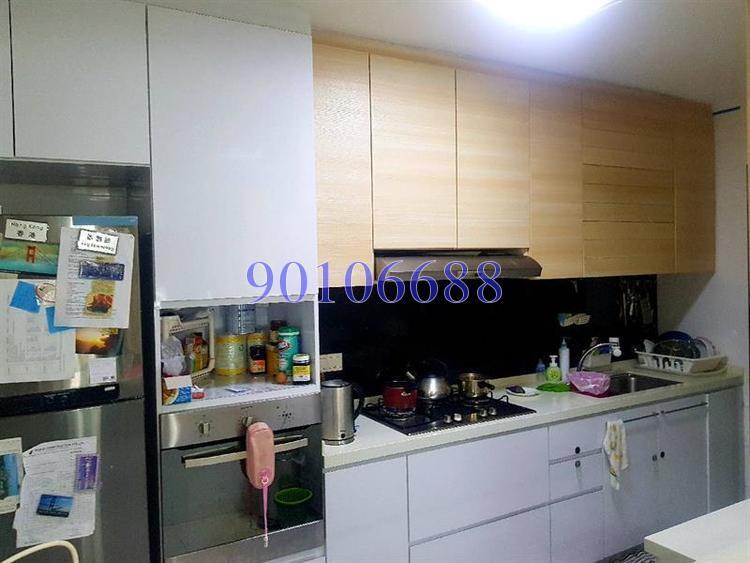 Punggol Way (Punggol), HDB Executive #170479172